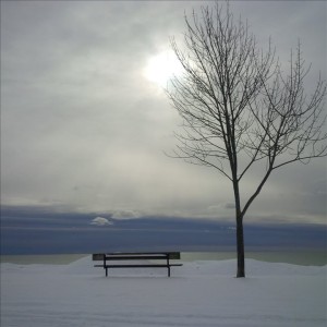 bench in winter 720x720
